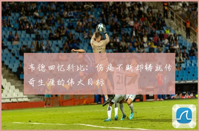 韦德回忆科比:伤痛不断却铸就传奇生涯的伟大目标