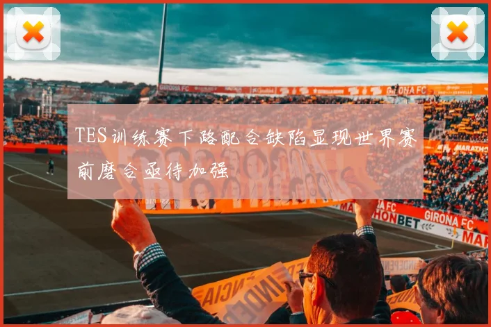 TES训练赛下路配合缺陷显现世界赛前磨合亟待加强